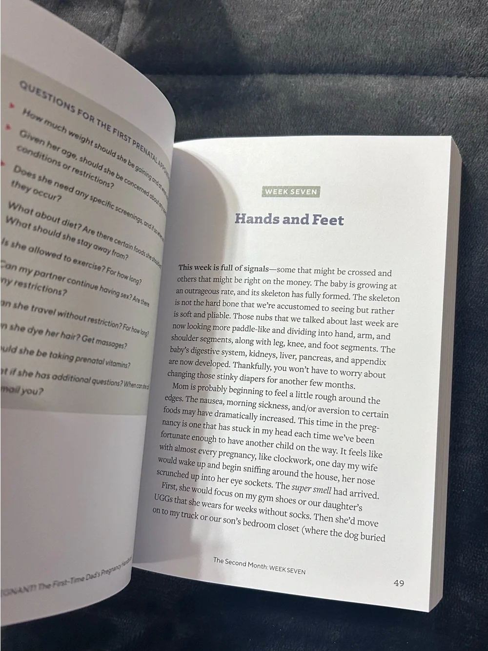 We're Pregnant! The First Time Dad's Pregnancy Handbook (Paperback)